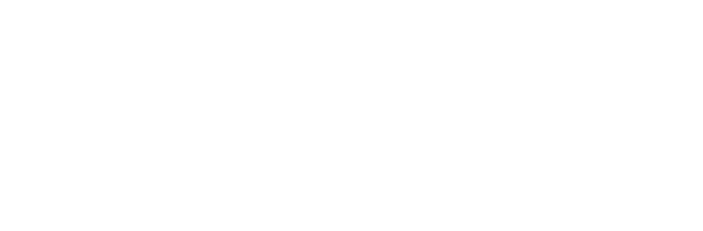 Leonardo Consultancy
